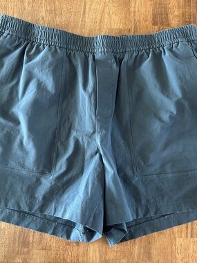 lululemon athletica Men's Blue Athletic Shorts